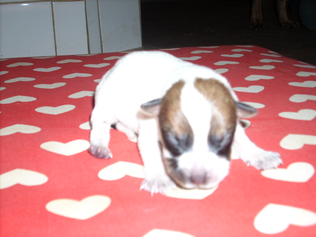 DSCN1062.JPG