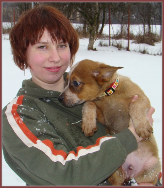 stenatka-na-treninku-agility-14.2.09-1234648656[1].jpg